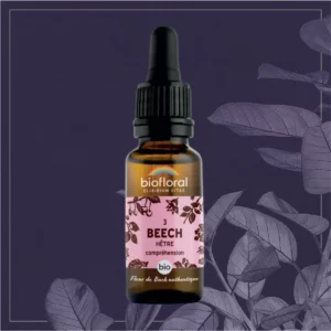 03 BEECH - COMPTE-GOUTTES BIO 20ML