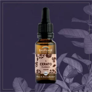 05 CERATO - COMPTE-GOUTTES BIO 20ML