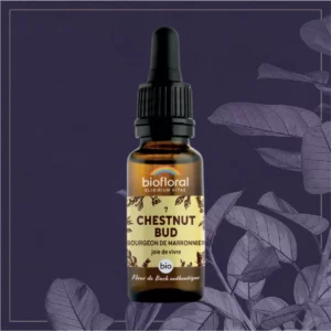 07 CHESTNUT BUD - COMPTE-GOUTTES BIO 20ML
