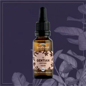 12 GENTIAN - COMPTE-GOUTTES BIO 20ML
