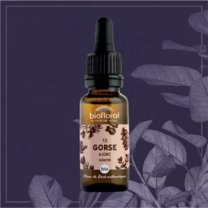 13 GORSE - COMPTE-GOUTTES BIO 20ML