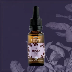 15 HOLLY - COMPTE-GOUTTES BIO 20ML