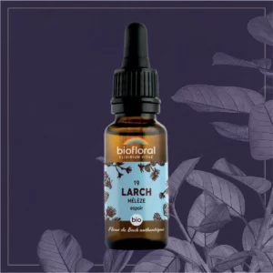 19 LARCH - COMPTE-GOUTTES BIO 20ML