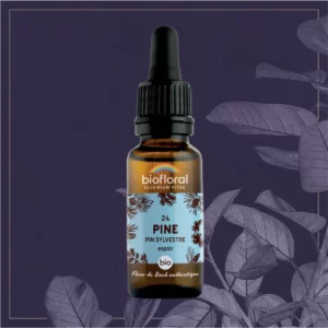 24 PINE - COMPTE-GOUTTES BIO 20ML