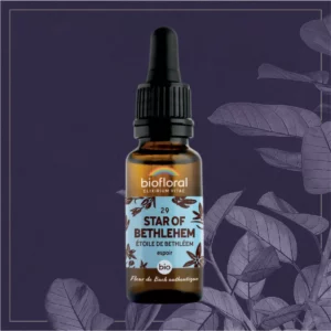 29 STAR OF BETHLEHEM - COMPTE-GOUTTES BIO 20ML