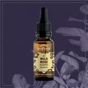 37 WILD ROSE - COMPTE-GOUTTES BIO 20ML