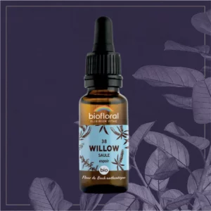 38 WILLOW - COMPTE-GOUTTES BIO 20ML