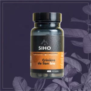 CRINIERE DE LION BIO 60 GEL