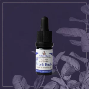 ELIXIR AIR DE LA RUCHE 5 ML BIO