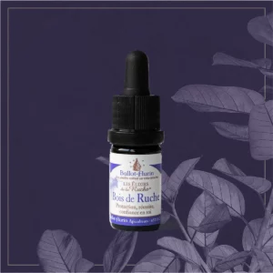 ELIXIR BOIS DE RUCHE 5 ML BIO