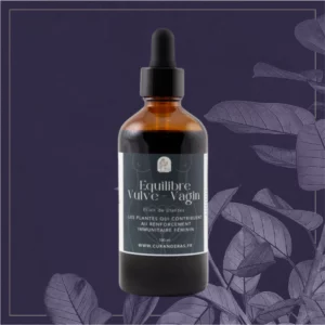 ELIXIR EQUILIBRE VULVE VAGIN 100ML