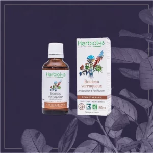 BOULEAU VERRUQUEUX - BIO 50ML