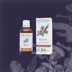 EGLANTIER - BIO 50ML