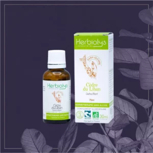 CÈDRE DU LIBAN - SANS ALCOOL - BIO 50ML