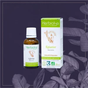 EGLANTIER - SANS ALCOOL - BIO 30ML
