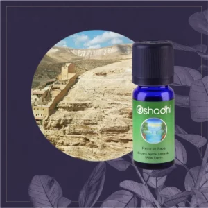 REINE DE SABA 10ML
