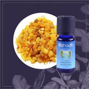 ENCENS OLIBAN HE SAUV. 5ML