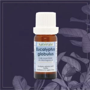 EUCALYPTUS GLOBULEUX HE N&P 10ML
