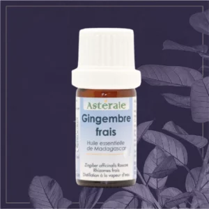GINGEMBRE FRAIS HE N&P 5ML