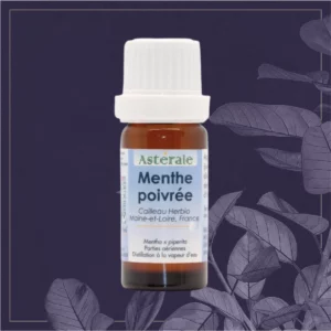 MENTHE POIVREE HE N&P 10ML