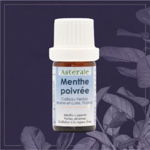 MENTHE POIVREE HE N&P 5ML