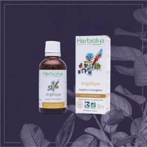 ANGELIQUE - BIO 50ML