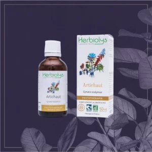 ARTICHAUT -BIO 50ML