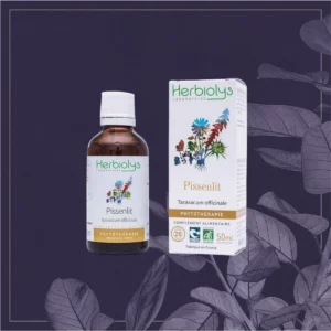 PISSENLIT - BIO 50ML